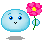 bleufleur bleufleur